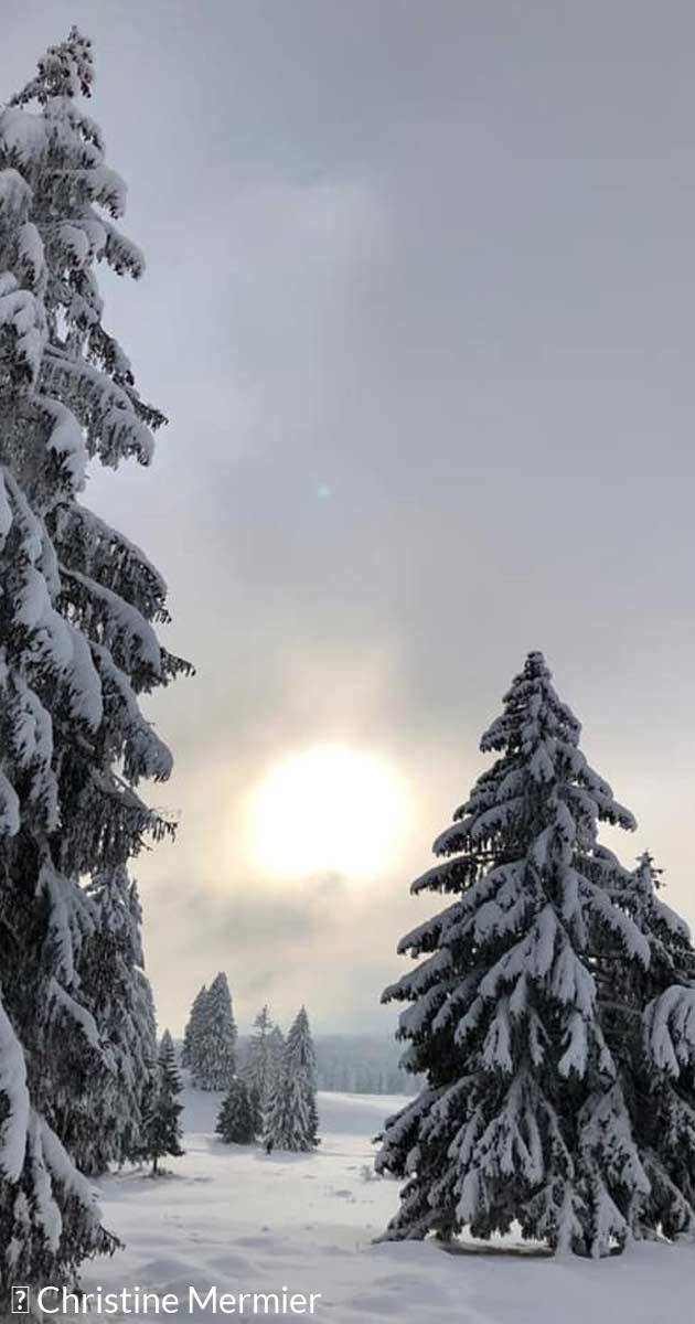 sapin-enneige-plateau-retord