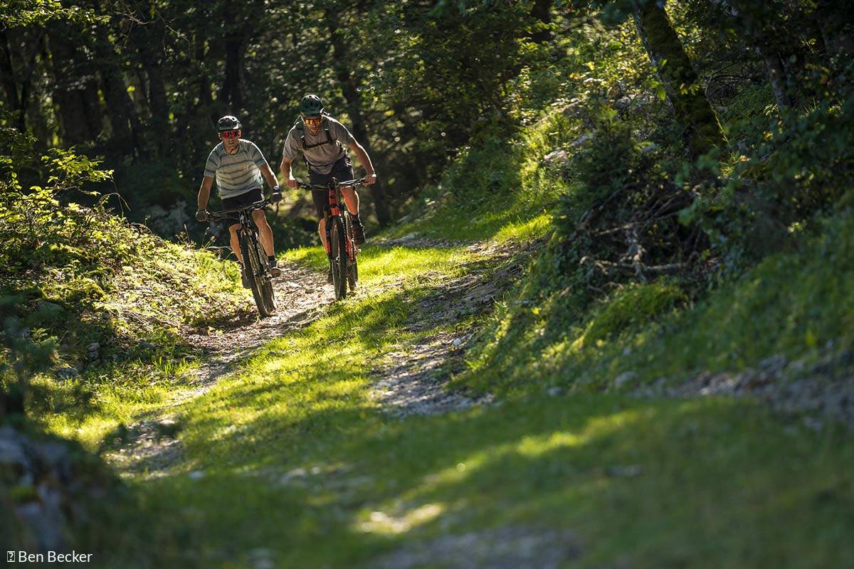 vtt-ain